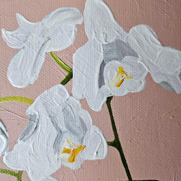White Orchids