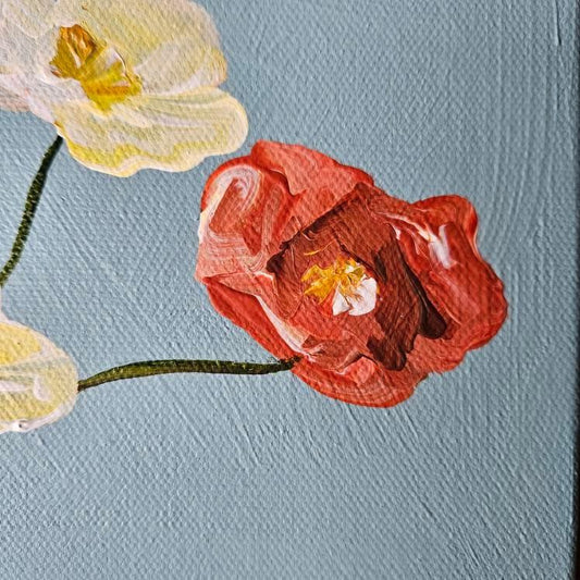 Poppies